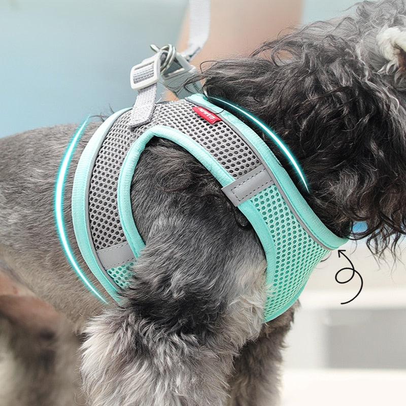 Vest Harness for Small Dogs
