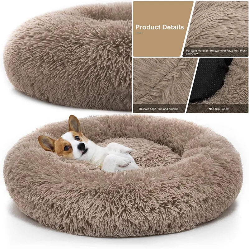 Cat and Dog ultrasoft bed.
